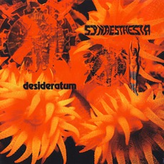 Desideratum mp3 Album by Synaesthesia