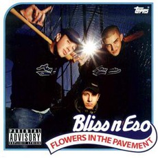 Flowers In The Pavement mp3 Album by Bliss n Eso
