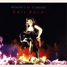 Moments Of Pleasure mp3 Single by Kate Bush