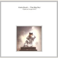 The Big Sky mp3 Single by Kate Bush