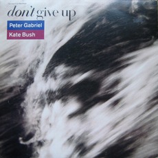 Don't Give Up mp3 Single by Kate Bush