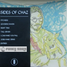 Sides Of Chaz mp3 Album by Toro Y Moi