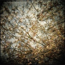Thistled Spring mp3 Album by Horse Feathers