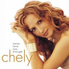 Never Love You Enough mp3 Album by Chely Wright