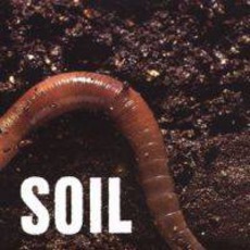 Soil mp3 Album by SOiL