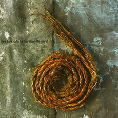 Further Down the Spiral (UK Version) mp3 Remix by Nine Inch Nails