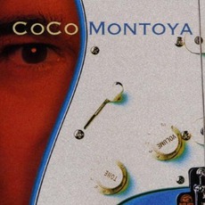 Suspicion mp3 Album by Coco Montoya