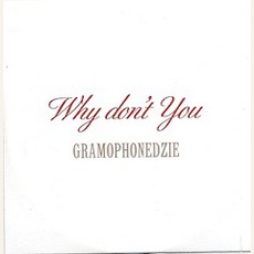 Why Don't You mp3 Single by Gramophonedzie