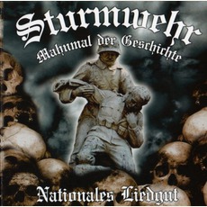 Mahnmal Der Geschichte mp3 Album by Sturmwehr