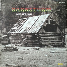 Barnstorm mp3 Album by Joe Walsh
