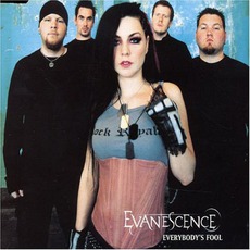 Everybody's Fool mp3 Single by Evanescence