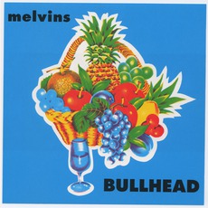 Bullhead mp3 Album by Melvins