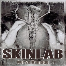 Nerve Damage mp3 Artist Compilation by Skinlab