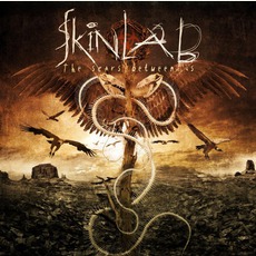 The Scars Between Us mp3 Album by Skinlab