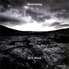 Dark Wood mp3 Album by David Darling