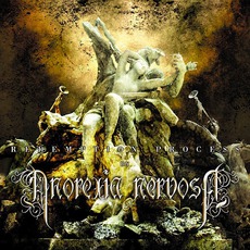Redemption Process mp3 Album by Anorexia Nervosa