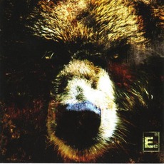 The Bear mp3 Album by Element Eighty