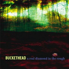 A Real Diamond In The Rough mp3 Album by Buckethead