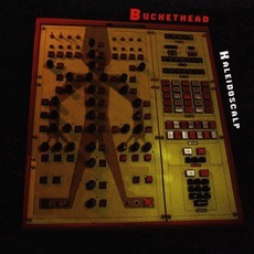 Kaleidoscalp mp3 Album by Buckethead