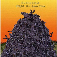 Needle In A Slunk Stack mp3 Album by Buckethead