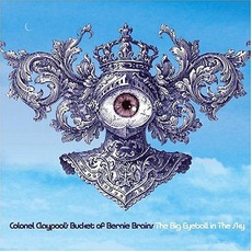 The Big Eyeball In The Sky mp3 Album by Colonel Claypool's Bucket Of Bernie Brains