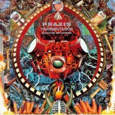 Transmutation (Mutatis Mutandis) mp3 Album by Praxis