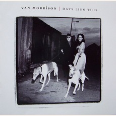Days Like This mp3 Album by Van Morrison