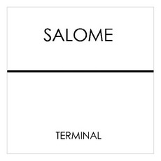Terminal mp3 Album by Salome