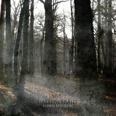 Ashen Eidolon mp3 Album by Gallowbraid