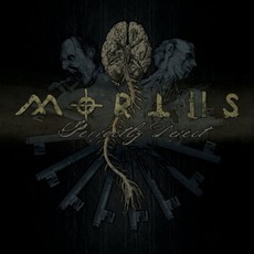Perfectly Defect mp3 Album by Mortiis