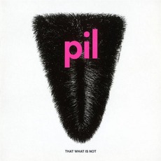 That What Is Not mp3 Album by Public Image Ltd.