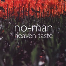 Heaven Taste mp3 Artist Compilation by No-Man