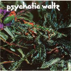 Mosquito mp3 Album by Psychotic Waltz