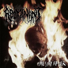 The Way After mp3 Album by Abominant