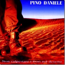 Non Calpestare I Fiori Nel Deserto mp3 Album by Pino Daniele