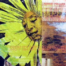 Not In My Airforce mp3 Album by Robert Pollard