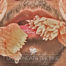 Underneath The Pine mp3 Album by Toro Y Moi