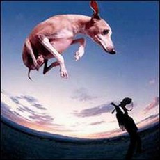 Flying Dog mp3 Album by Paul Gilbert