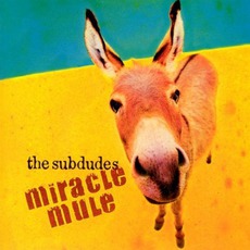 Miracle Mule mp3 Live by The Subdudes