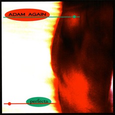 Perfecta mp3 Album by Adam Again