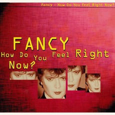 How Do You Feel Right Now? mp3 Single by Fancy