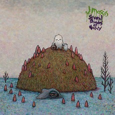 Several Shades Of Why mp3 Album by J Mascis