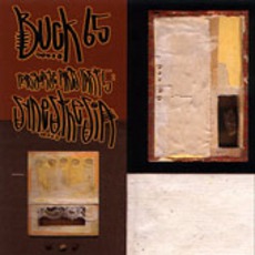 Synesthesia mp3 Album by Buck 65