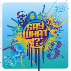 Say What!? mp3 Album by Us3