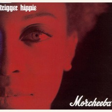 Trigger Hippie mp3 Single by Morcheeba