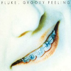 Groovy Feeling mp3 Single by Fluke