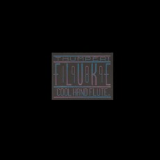 Thumper / Cool Hand Flute mp3 Single by Fluke
