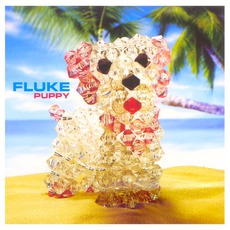 Puppy mp3 Album by Fluke