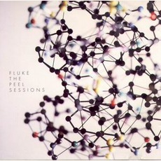 The Peel Sessions mp3 Artist Compilation by Fluke