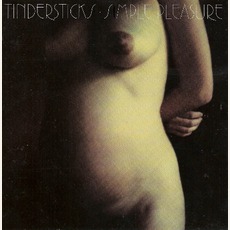 Simple Pleasure (Remastered) mp3 Album by Tindersticks